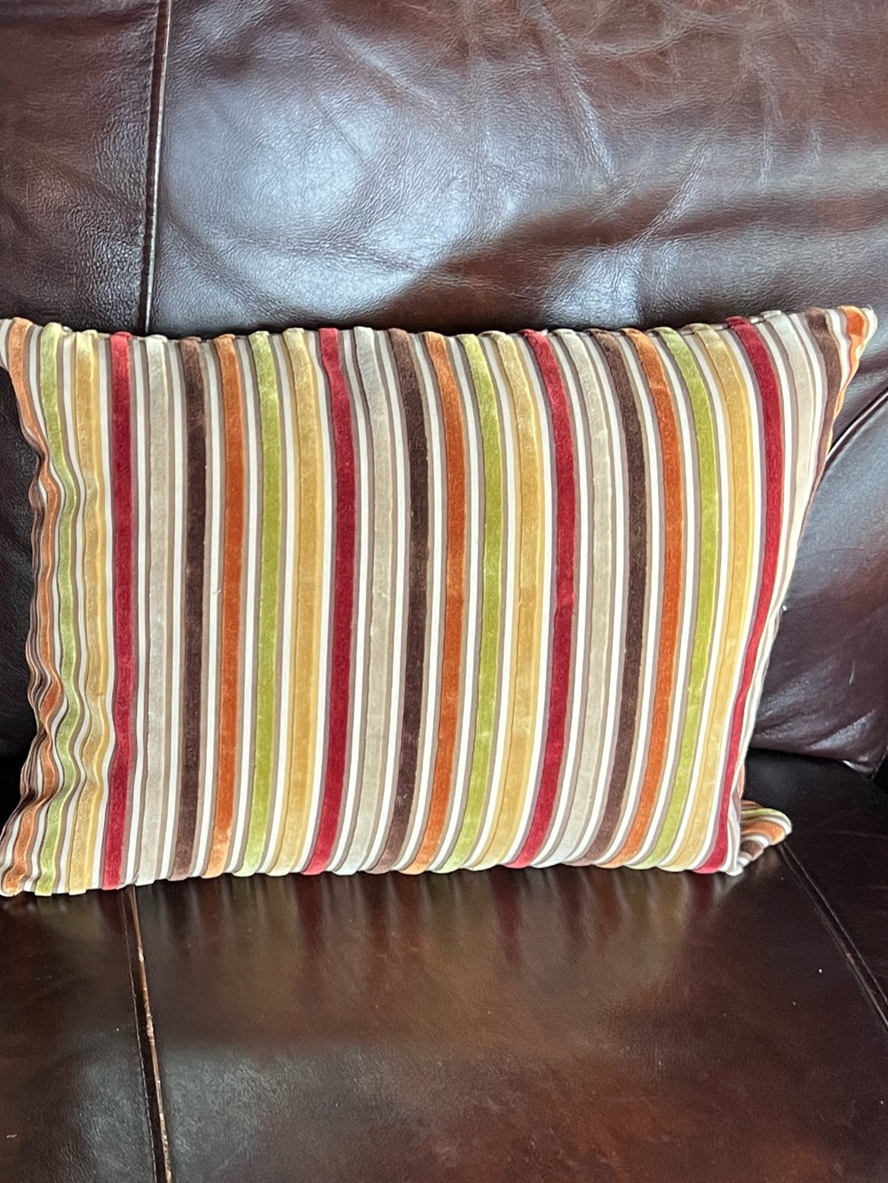 Beautiful velvet striped, down filled pillows from Pier 1